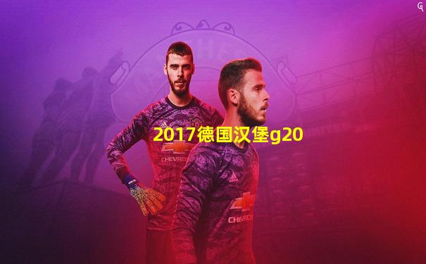 2017德国汉堡g20