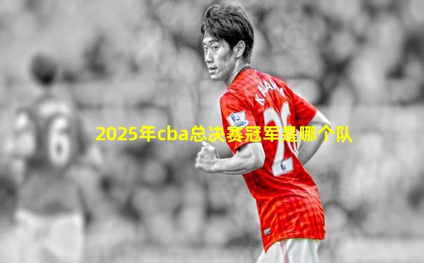 2025年cba总决赛冠军是哪个队