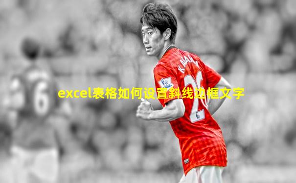 excel表格如何设置斜线边框文字