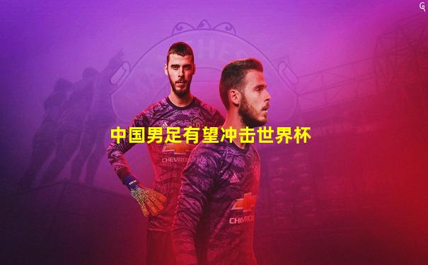中国男足有望冲击世界杯