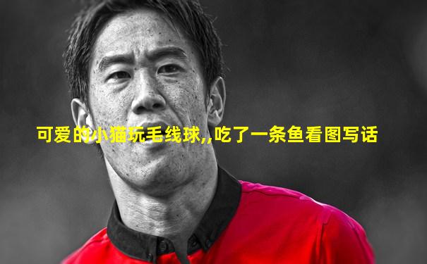 可爱的小猫玩毛线球,,吃了一条鱼看图写话
