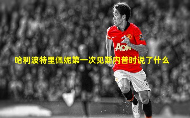 哈利波特里佩妮第一次见斯内普时说了什么