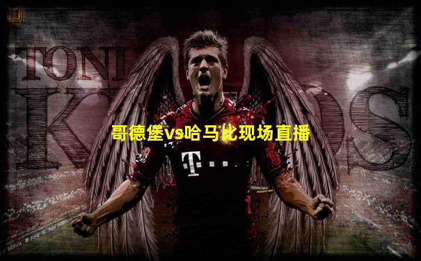 哥德堡vs哈马比现场直播
