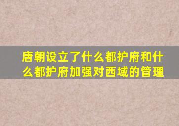 唐朝设立了什么都护府和什么都护府加强对西域的管理