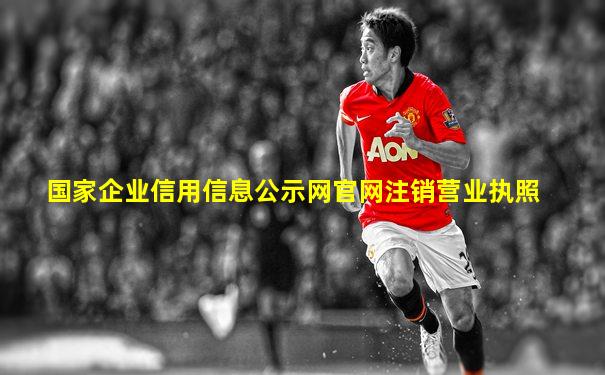 国家企业信用信息公示网官网注销营业执照