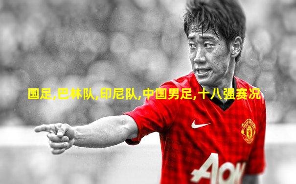 国足,巴林队,印尼队,中国男足,十八强赛况