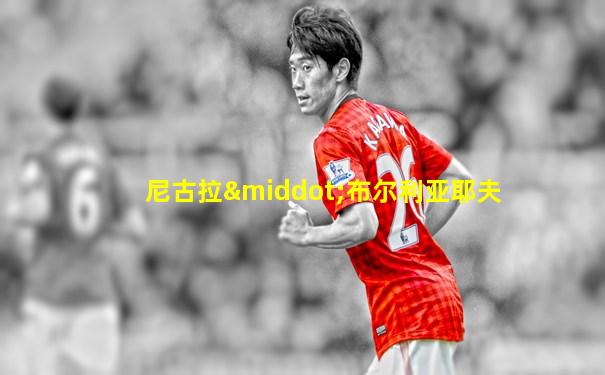 尼古拉·布尔利亚耶夫
