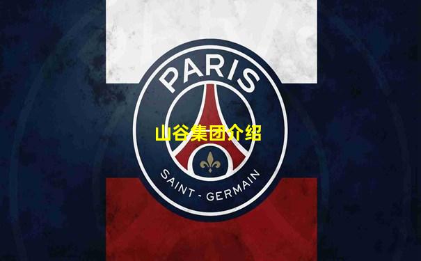 山谷集团介绍
