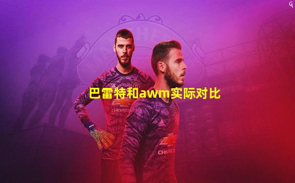 巴雷特和awm实际对比