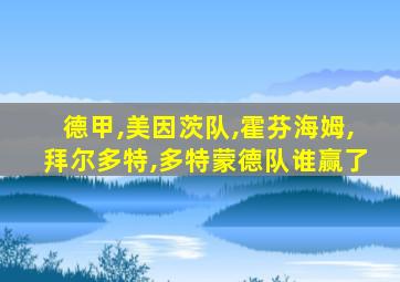 德甲,美因茨队,霍芬海姆,拜尔多特,多特蒙德队谁赢了