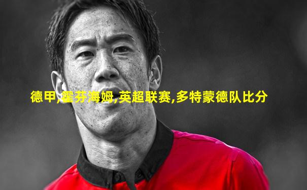德甲,霍芬海姆,英超联赛,多特蒙德队比分