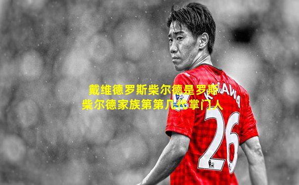 戴维德罗斯柴尔德是罗斯柴尔德家族第第几代掌门人