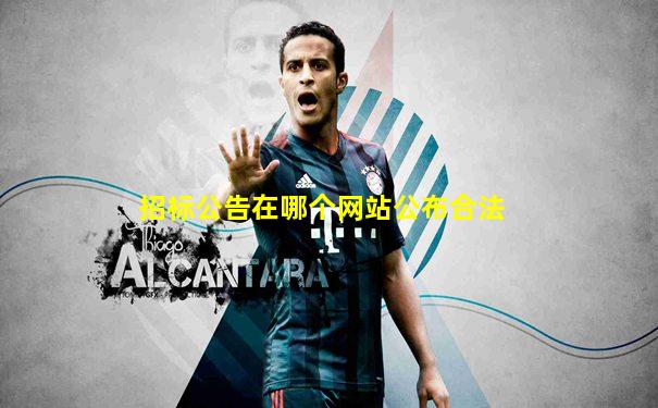 招标公告在哪个网站公布合法