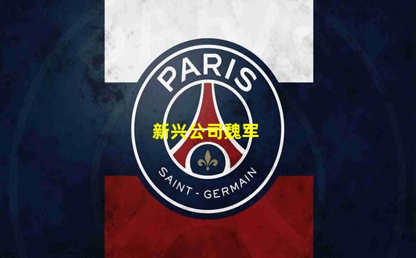 新兴公司魏军