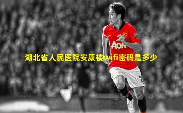 湖北省人民医院安康楼wifi密码是多少