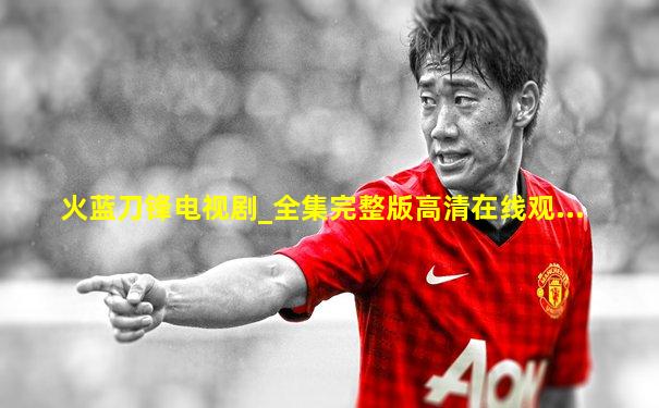 火蓝刀锋电视剧_全集完整版高清在线观...