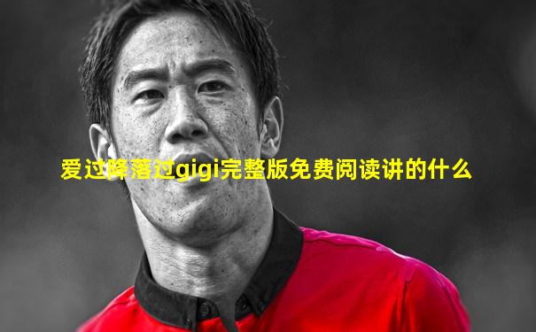 爱过降落过gigi完整版免费阅读讲的什么
