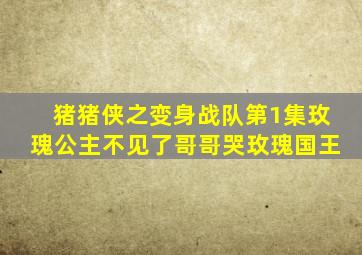 猪猪侠之变身战队第1集玫瑰公主不见了哥哥哭玫瑰国王