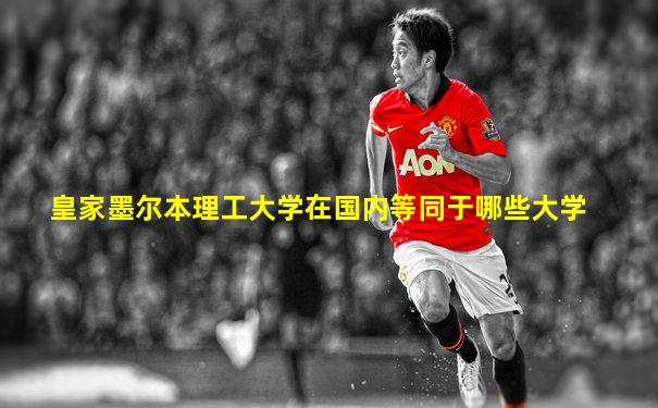 皇家墨尔本理工大学在国内等同于哪些大学