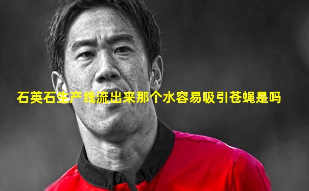 石英石生产线流出来那个水容易吸引苍蝇是吗