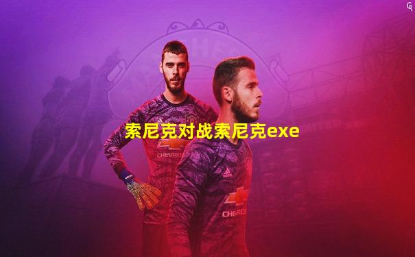 索尼克对战索尼克exe