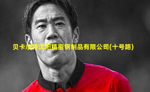 贝卡尔特沈阳精密钢制品有限公司(十号路)