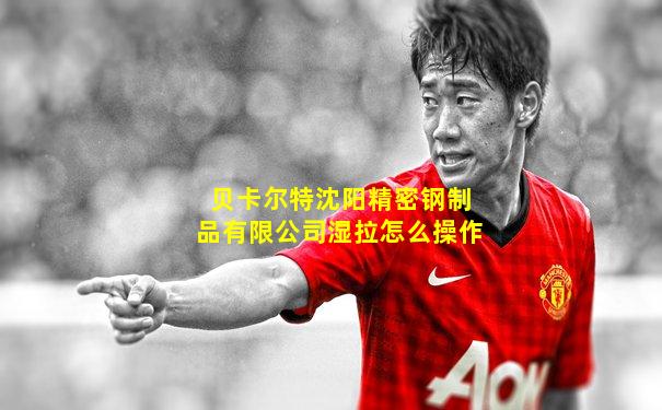 贝卡尔特沈阳精密钢制品有限公司湿拉怎么操作