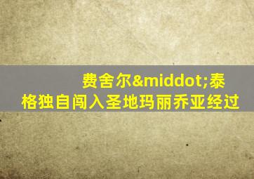 费舍尔·泰格独自闯入圣地玛丽乔亚经过