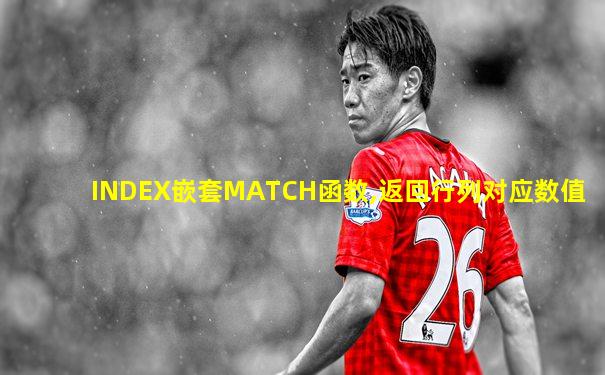 INDEX嵌套MATCH函数,返回行列对应数值