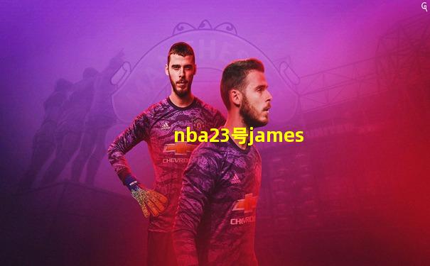 nba23号james