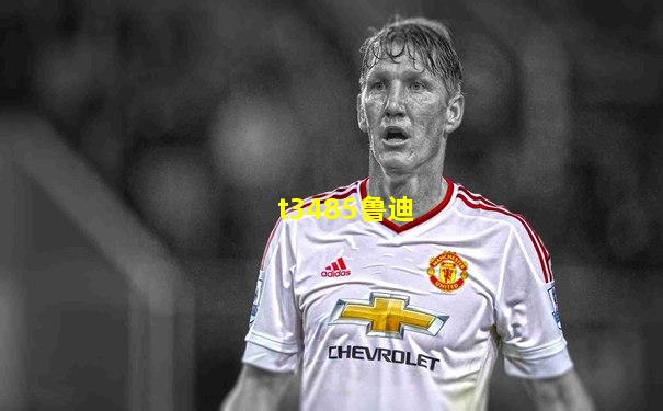 t3485鲁迪