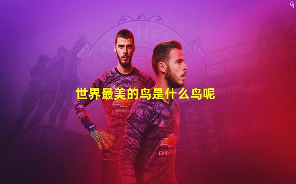 世界最美的鸟是什么鸟呢