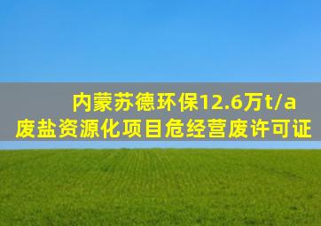 内蒙苏德环保12.6万t/a废盐资源化项目危经营废许可证