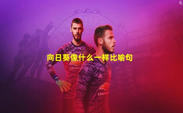 向日葵像什么一样比喻句