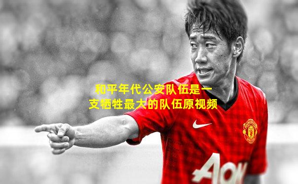 和平年代公安队伍是一支牺牲最大的队伍原视频