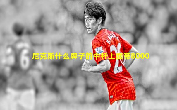 尼克斯什么牌子的中杆上面带8000