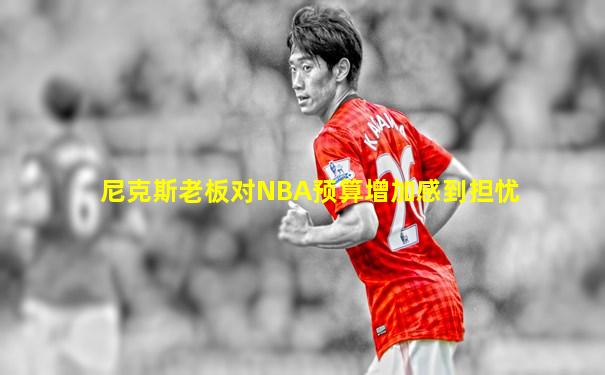 尼克斯老板对NBA预算增加感到担忧