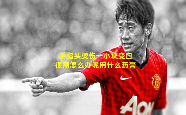 手指头烫伤一小块变白很痛怎么办呢用什么药膏