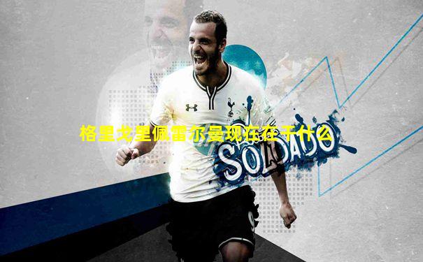 格里戈里佩雷尔曼现在在干什么