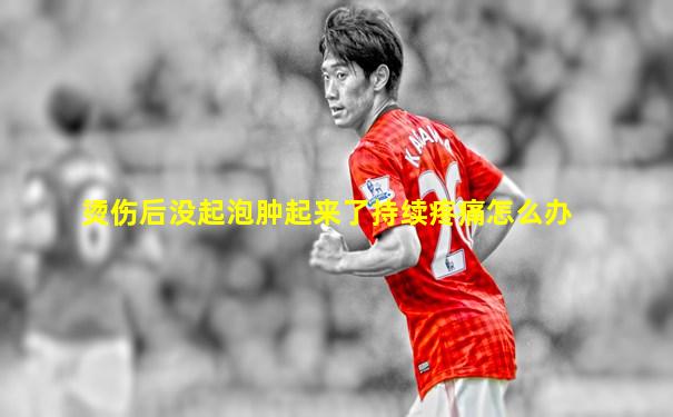 烫伤后没起泡肿起来了持续疼痛怎么办