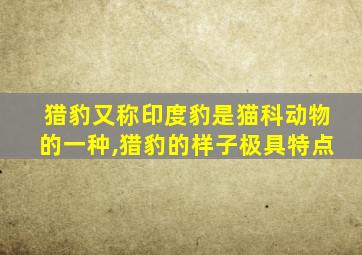 猎豹又称印度豹是猫科动物的一种,猎豹的样子极具特点