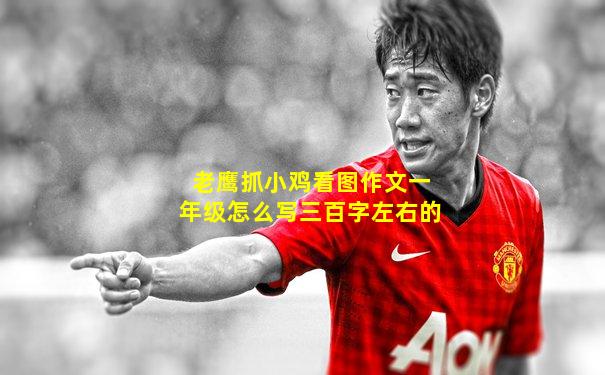 老鹰抓小鸡看图作文一年级怎么写三百字左右的