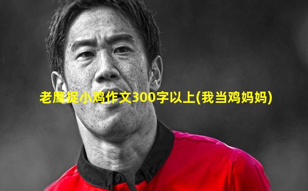 老鹰捉小鸡作文300字以上(我当鸡妈妈)