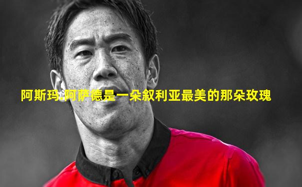 阿斯玛.阿萨德是一朵叙利亚最美的那朵玫瑰